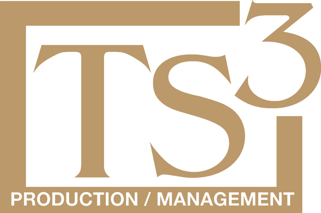 TS3 logo